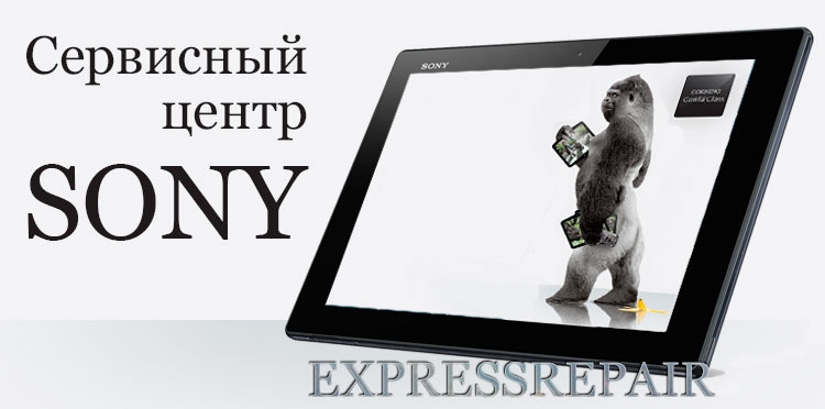 ������� ������ ��������� ���� (sony)