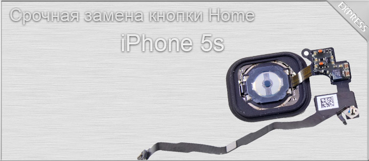 ������ ������ ������ � ����� � �������� iphone 5c