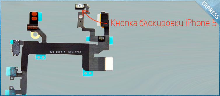 ������ ������ ���������� iphone 5