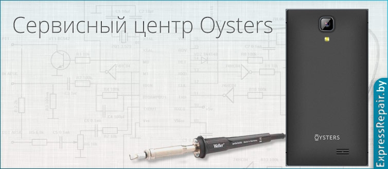 ������ oysters 