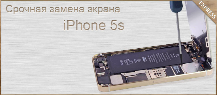 ������ ������ ������ � ������� iphone 5s